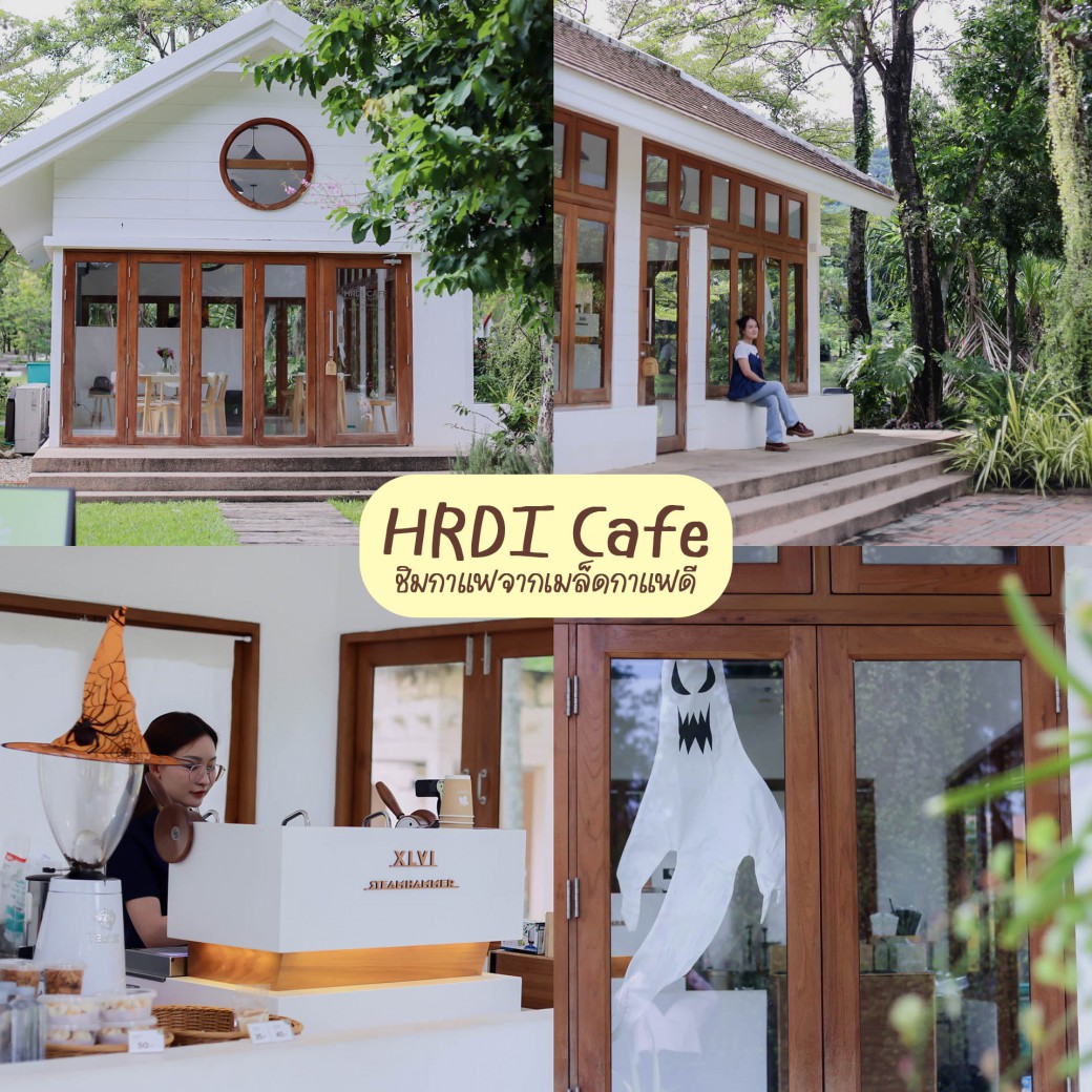 FILE-20251016-1517FNK63JRBZDP8