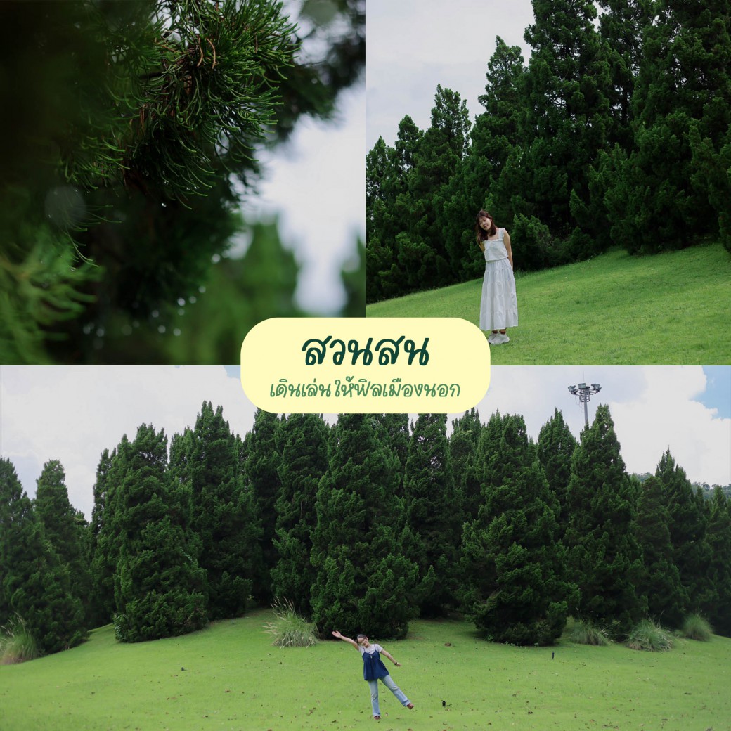 FILE-20251016-15293X5Y2UBZJ6S4