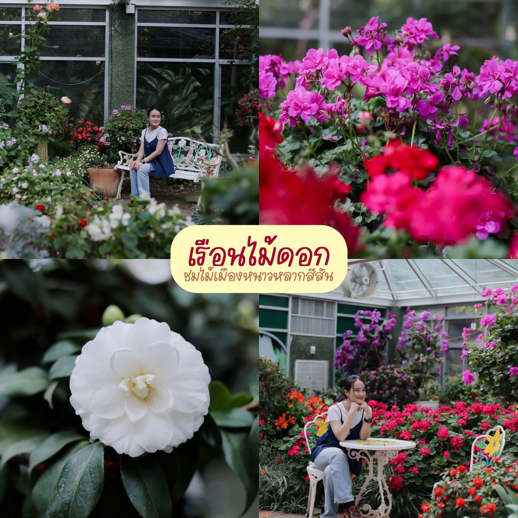 FILE-20251016-1534K78XFC18FG8Y