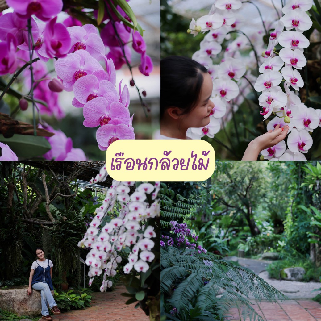 FILE-20251016-1548NCESAGBR3BBR