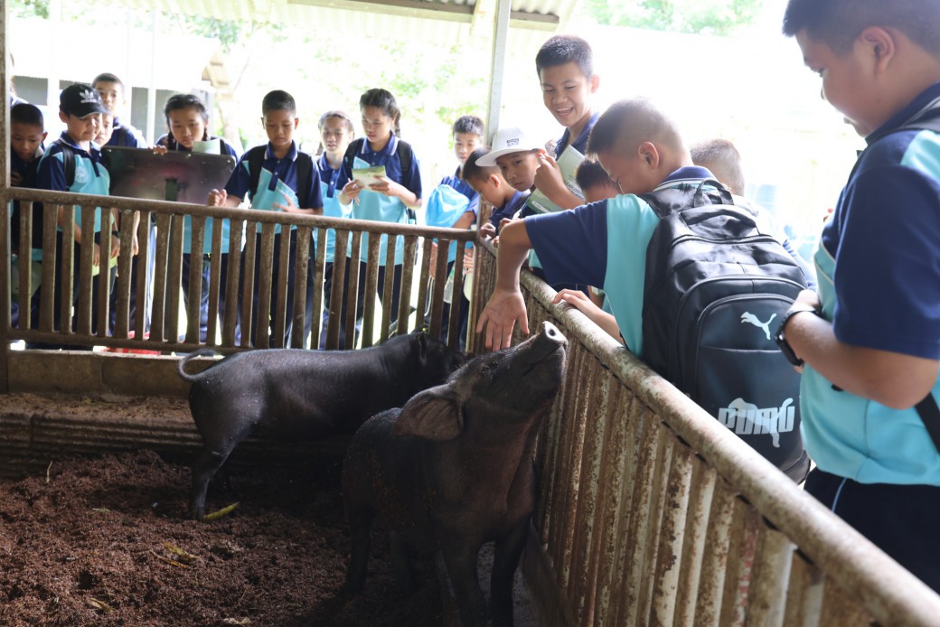 FILE-20251020-13221DG2X2SNZDC3