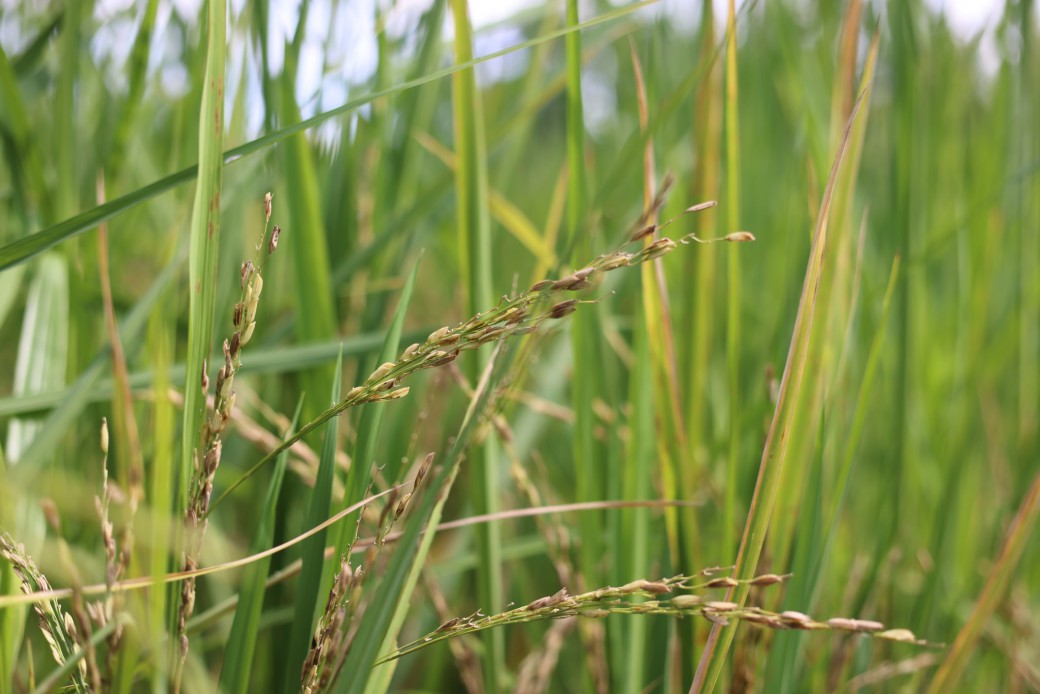 FILE-20251020-1336LW79LAQEWTU7