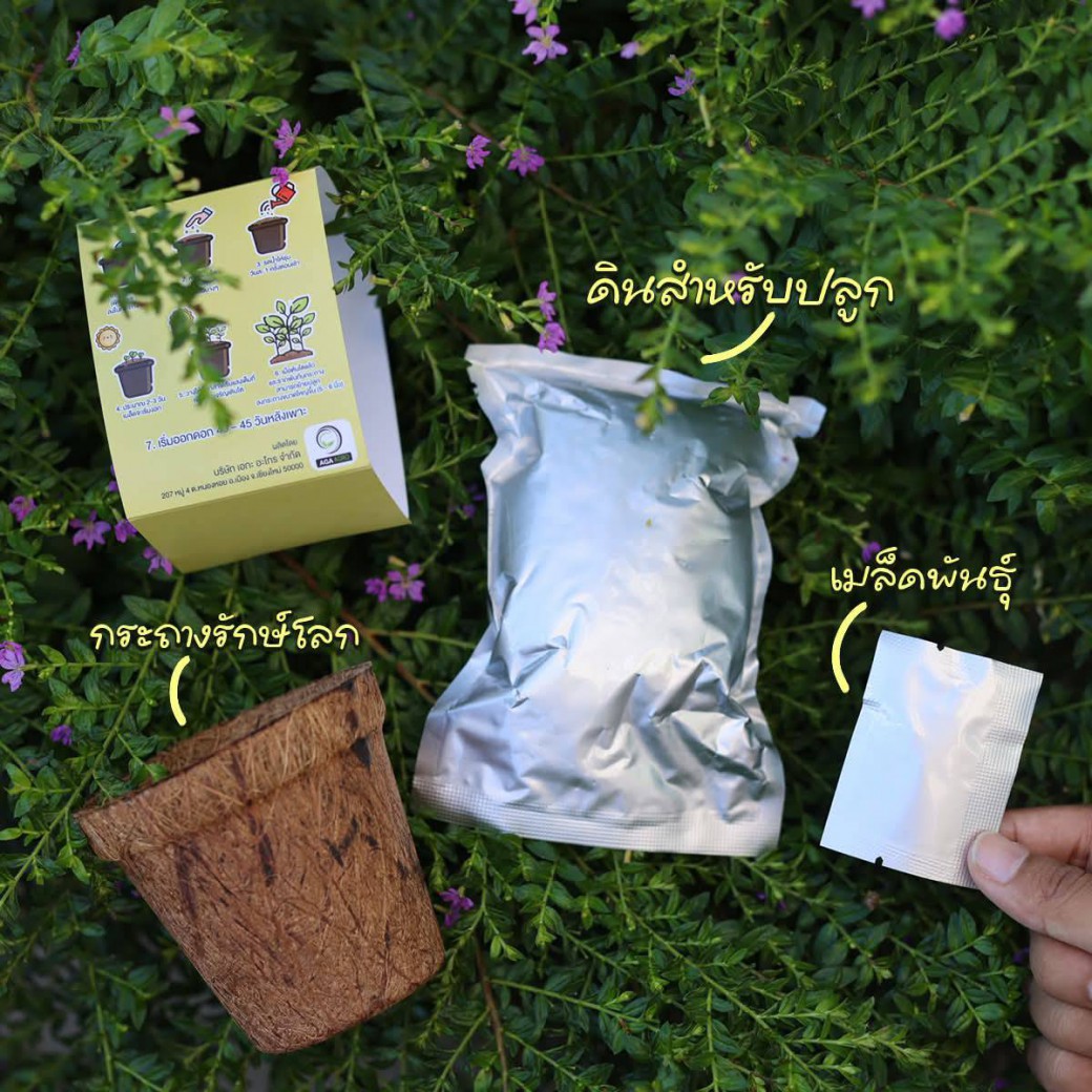 FILE-20251021-1507QQDRYS3GYRNV