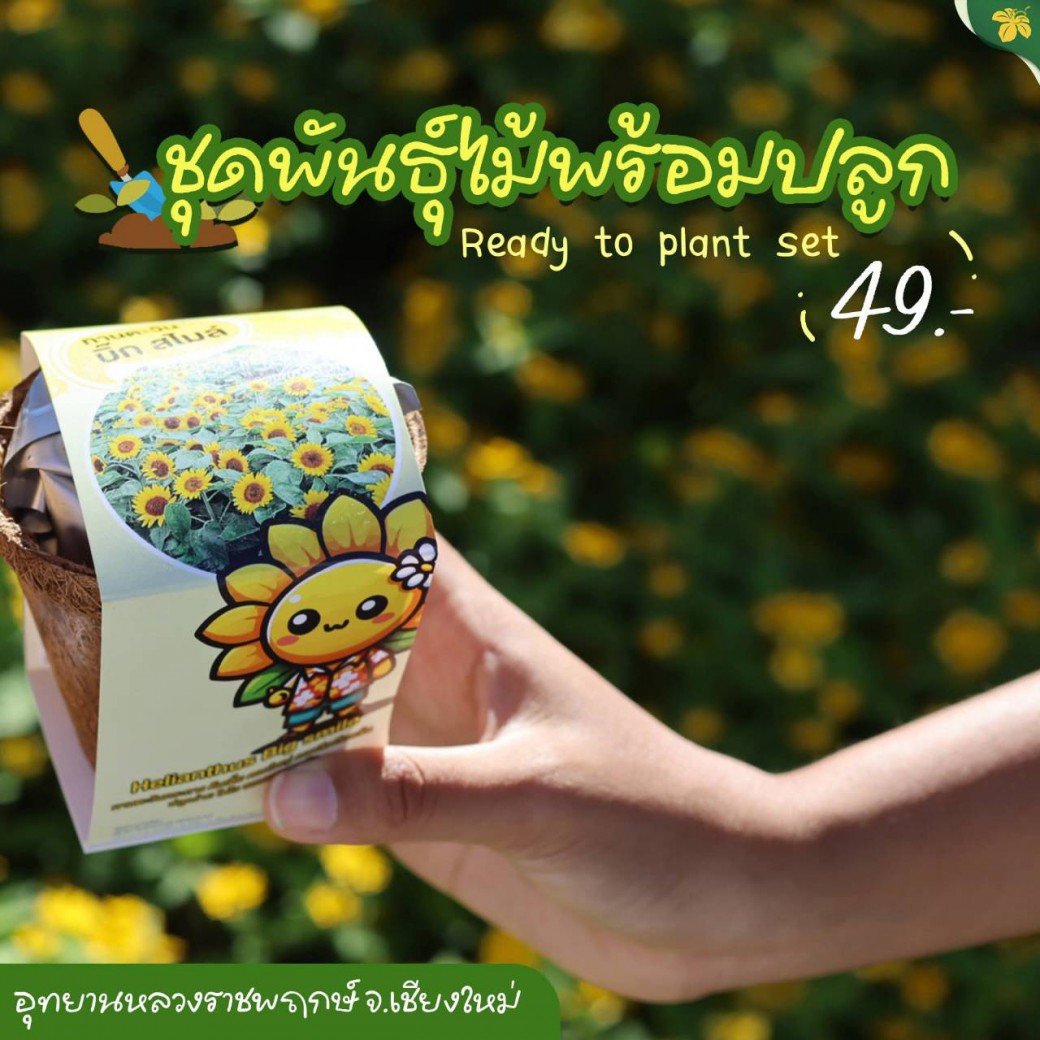 FILE-20251021-1528JA3ZZRWQ3U2J