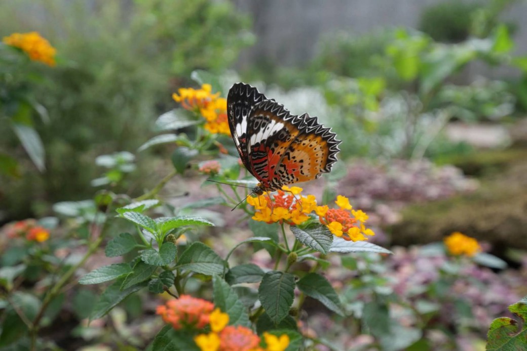 FILE-20251021-1534DHWA6N1WTD4X