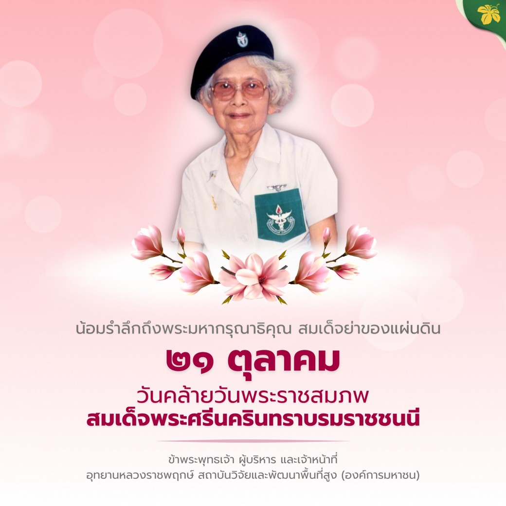 FILE-20251021-1539YCHVPBKYS4N9