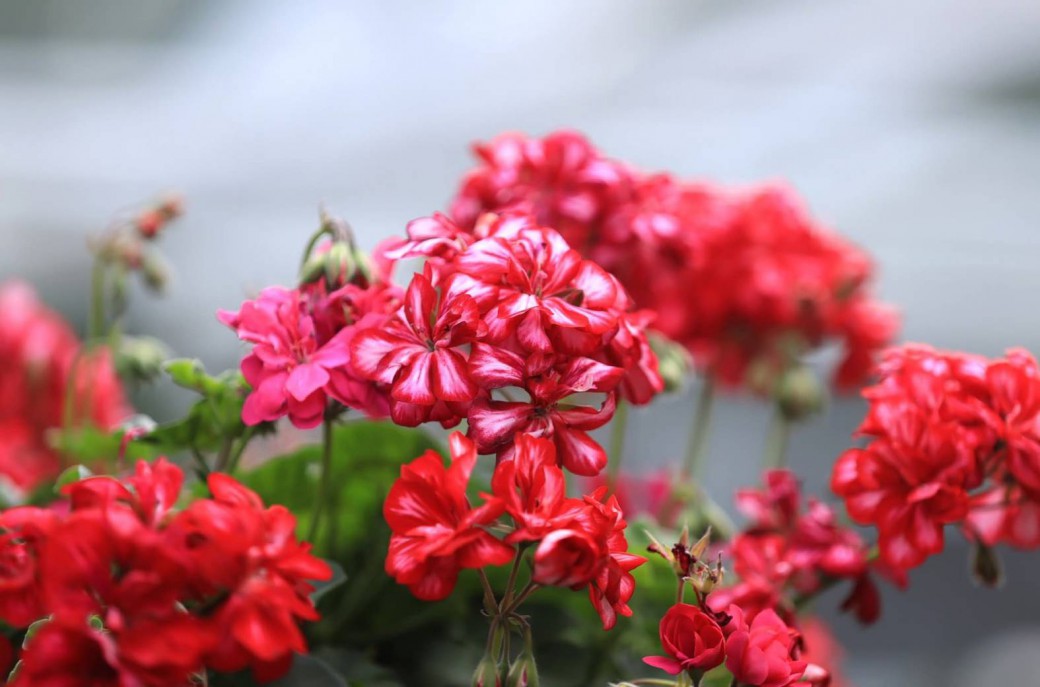 FILE-20251021-15552X1SNDVT5AVP
