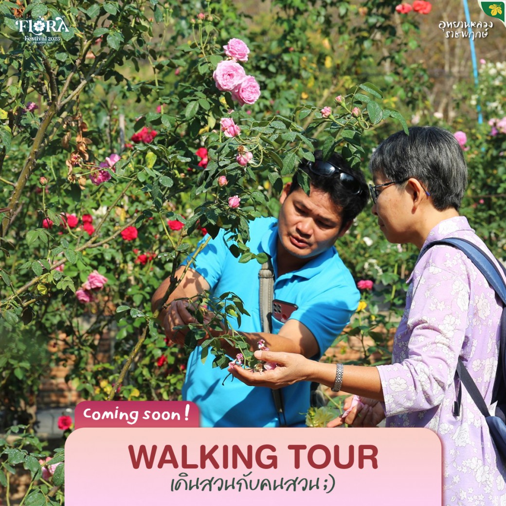 FILE-20251024-1103TBAM3486TZZC