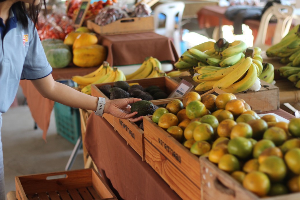 FILE-20251024-1106DP33SH7N4JLD