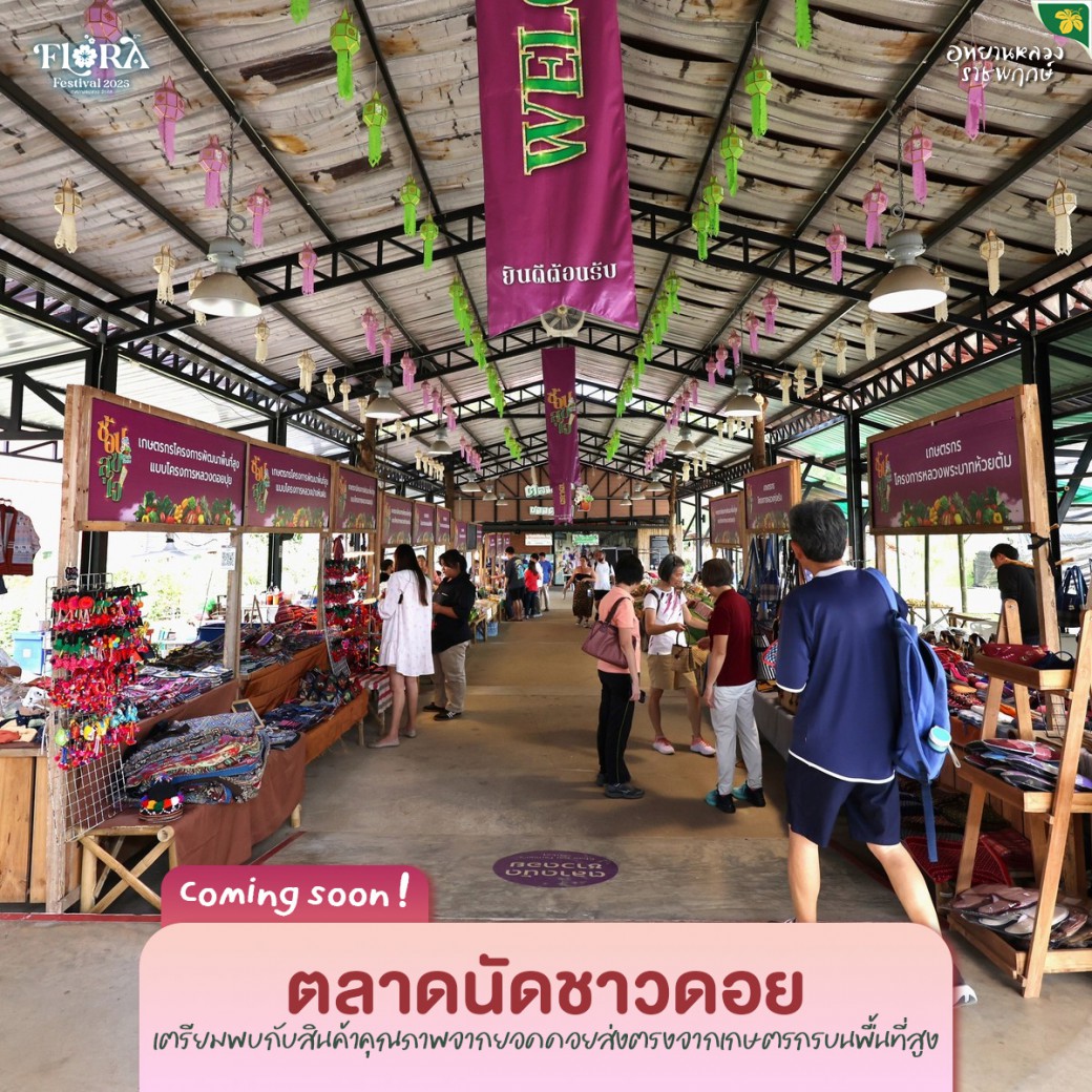 FILE-20251024-1108A2PFT4L4G8F7