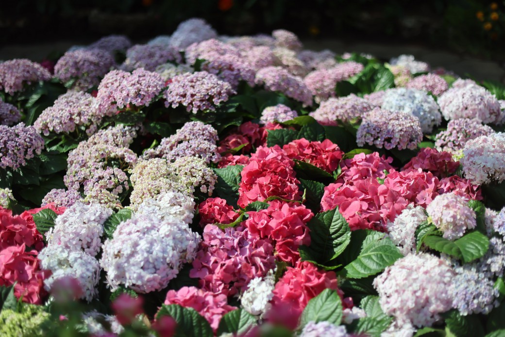 FILE-20251024-1116UGRTZBY3ZR5G