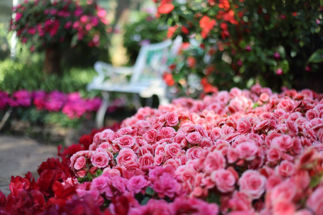 FILE-20251024-1128GULC9Q69DRSV