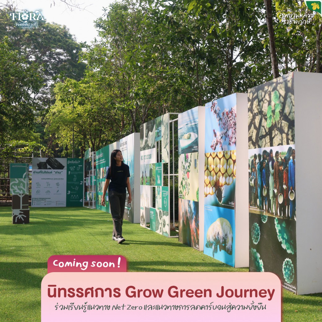 FILE-20251024-1136BTQEGJLQ14Y5