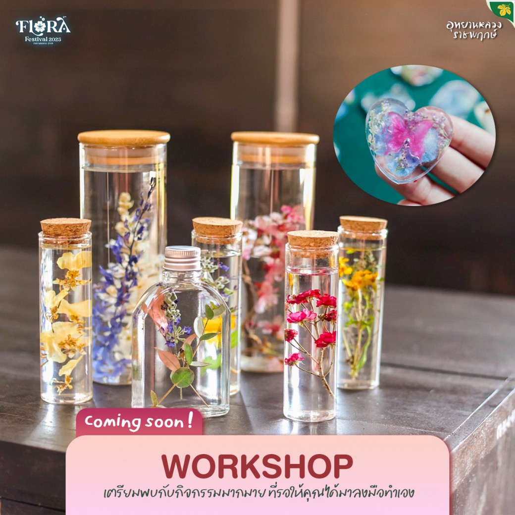 FILE-20251024-1154VACMRFHX23XL