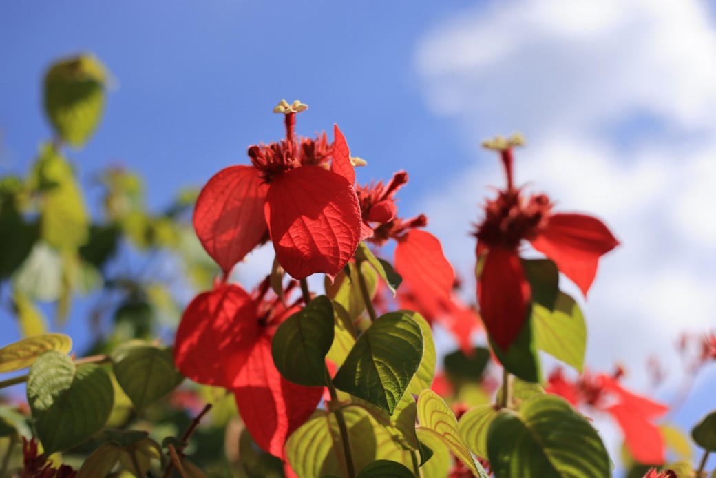 FILE-20251030-1403JWP9ZPCKTF3F