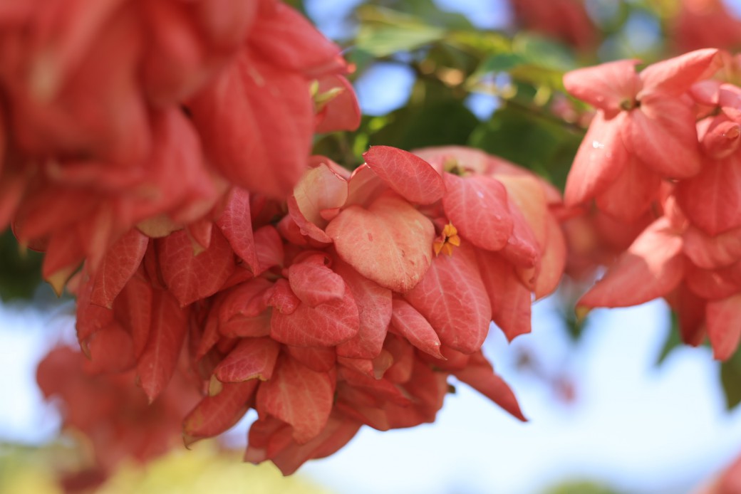 FILE-20251030-1414WRJ2BM488616