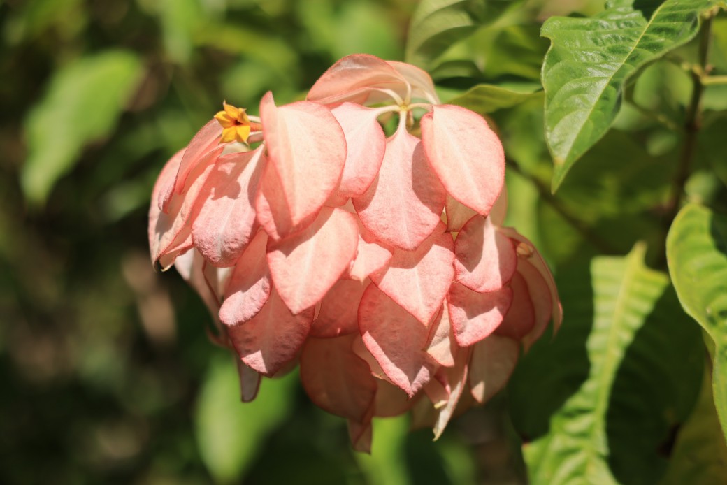 FILE-20251030-141624K51GQKWKR2