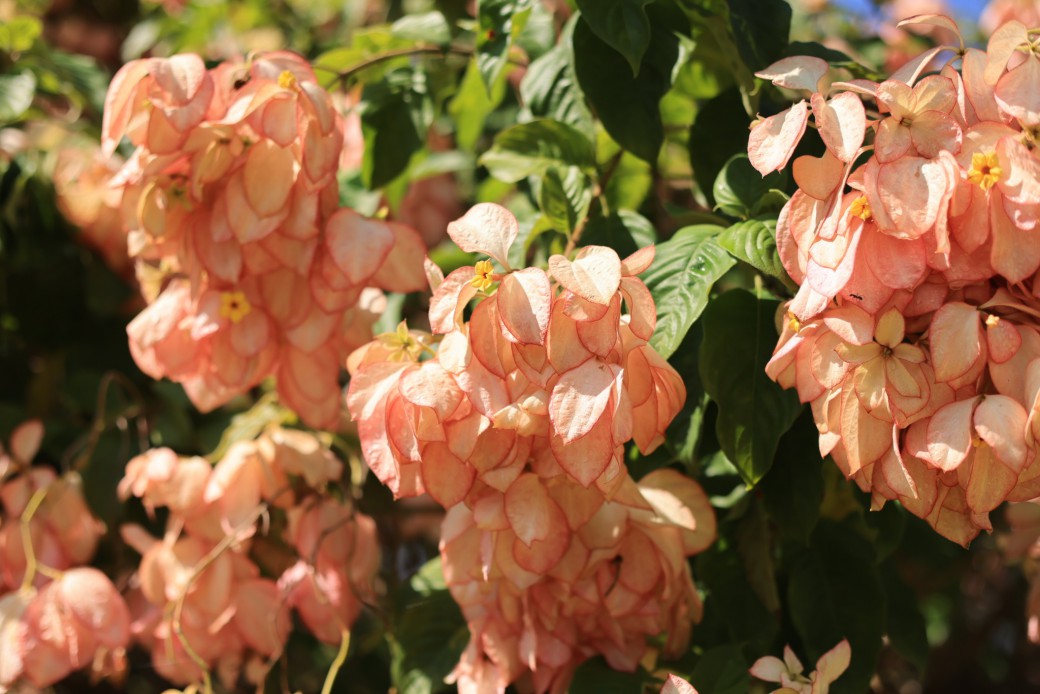 FILE-20251030-1418WNSRJL85MK4W