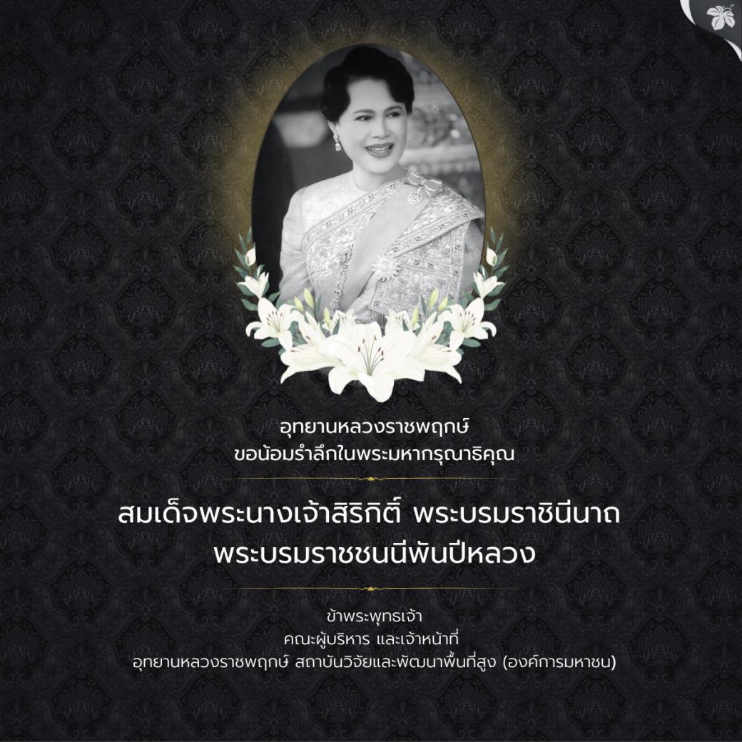 FILE-20251030-1423DKUBM17PYXXP