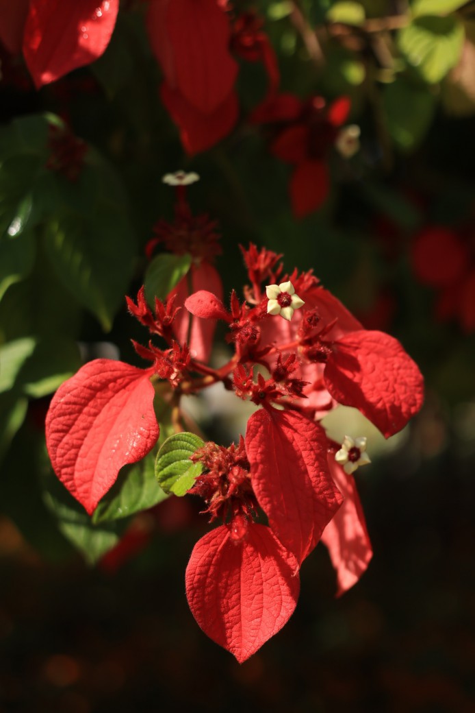 FILE-20251030-14296X7P1NS1W29Y