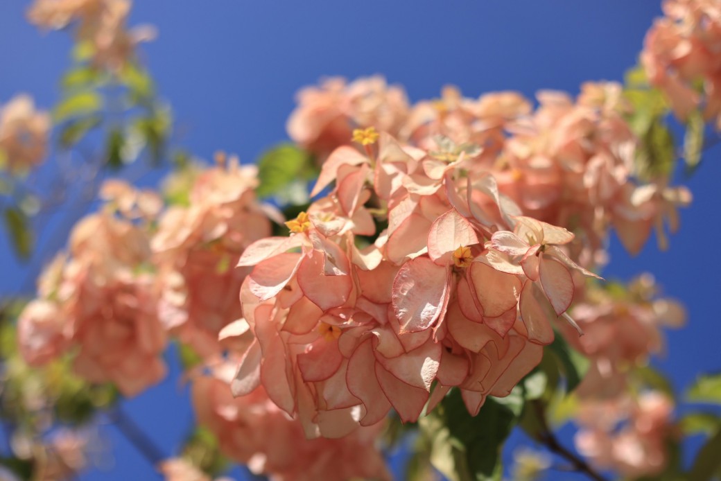 FILE-20251030-1429YPRDPT5QBNAZ