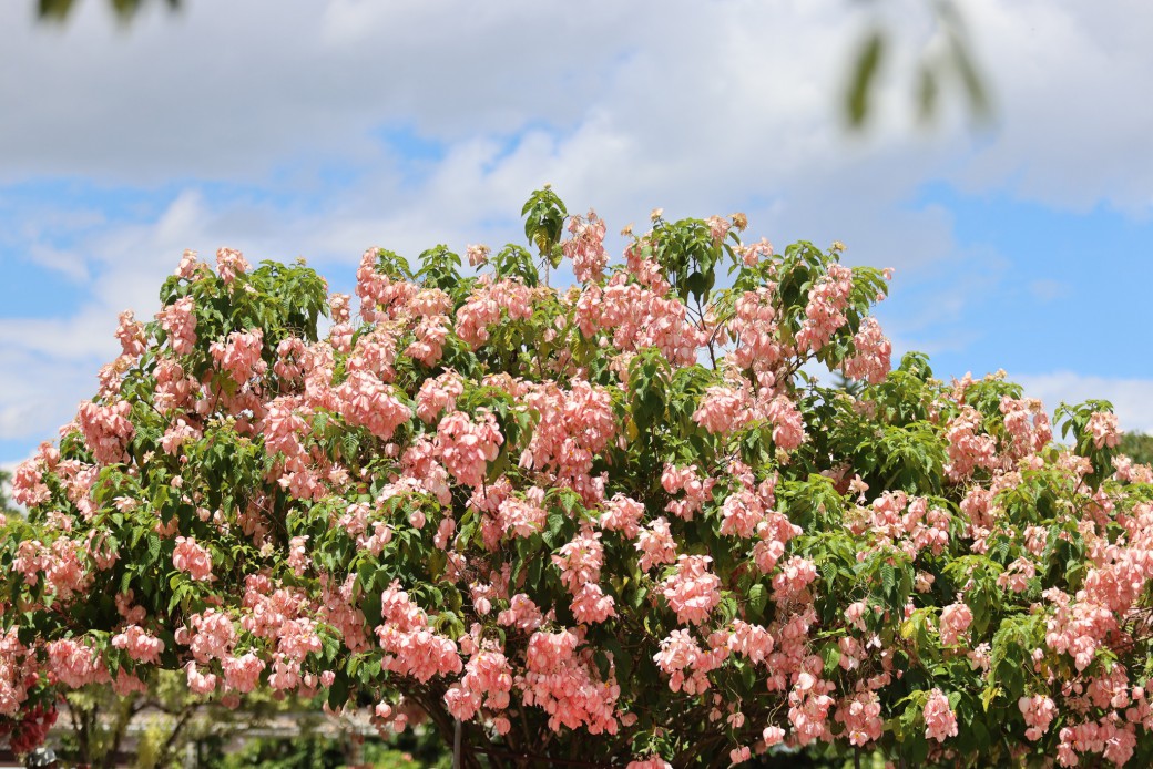 FILE-20251030-1432BZA188RJ9V9D