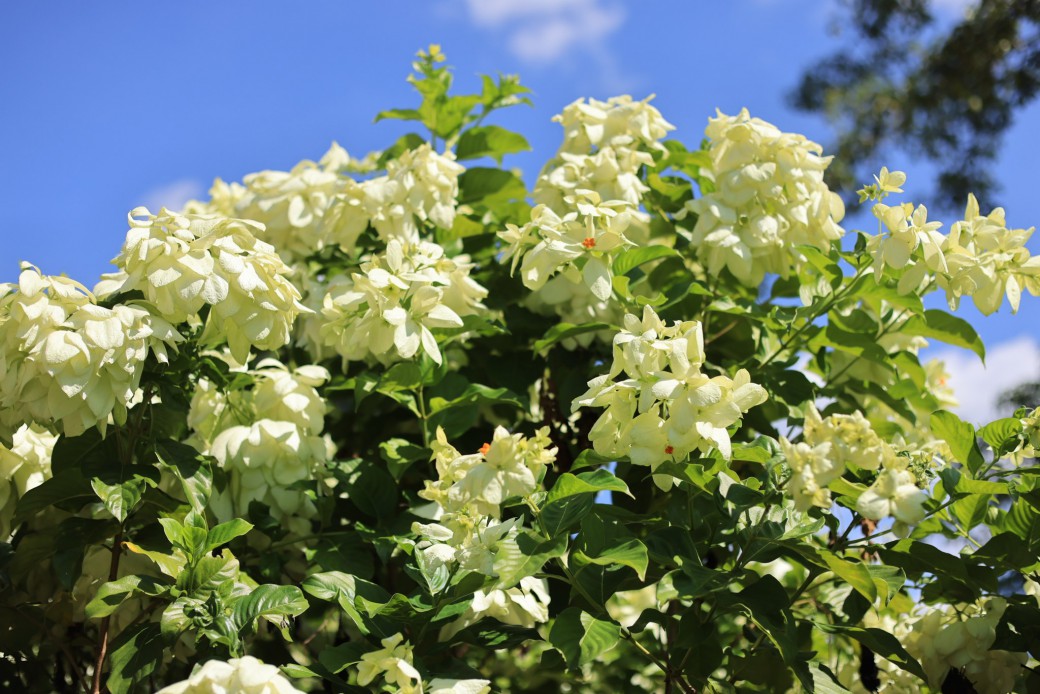 FILE-20251030-1436DYPYACE7DW9Z