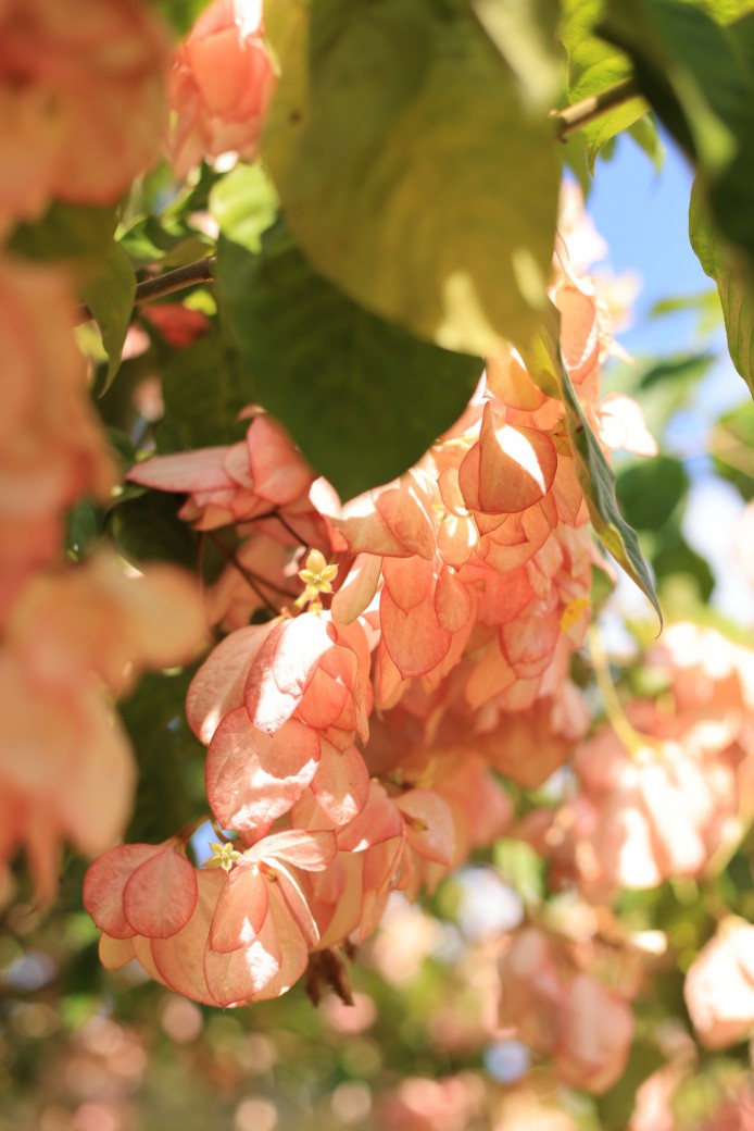 FILE-20251030-1446J8CCLXUAP5B2