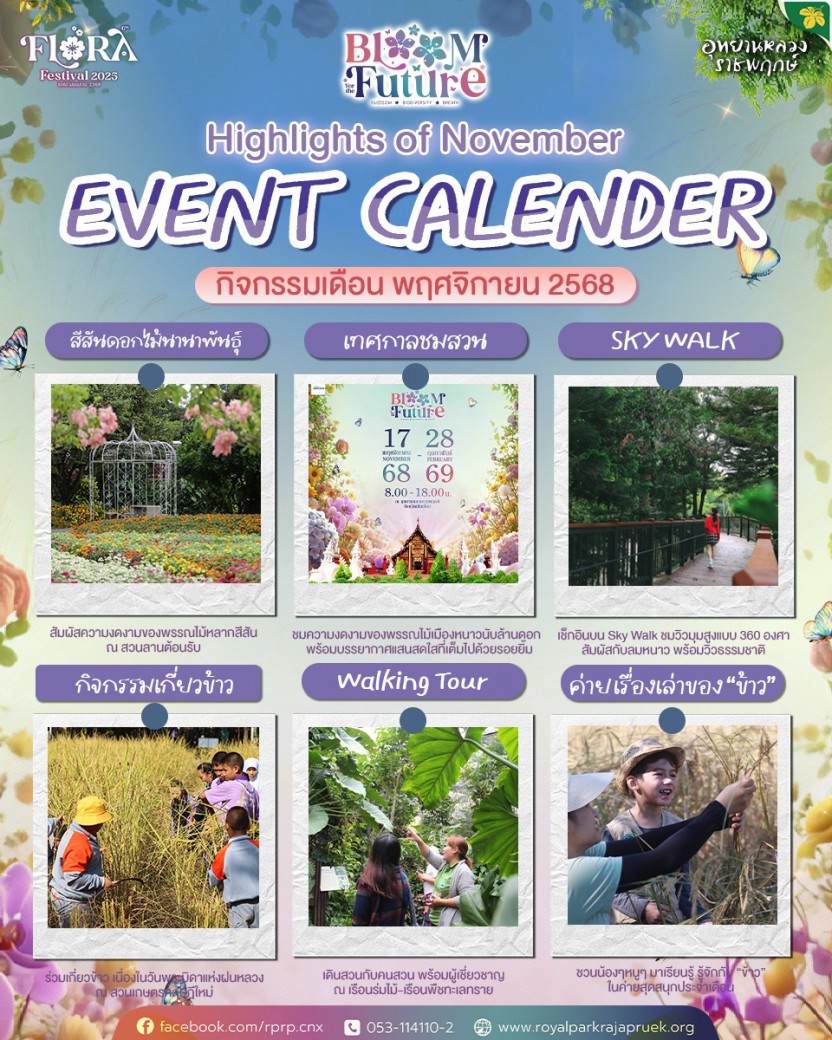 FILE-20251108-1157WXQN4MXJR37E