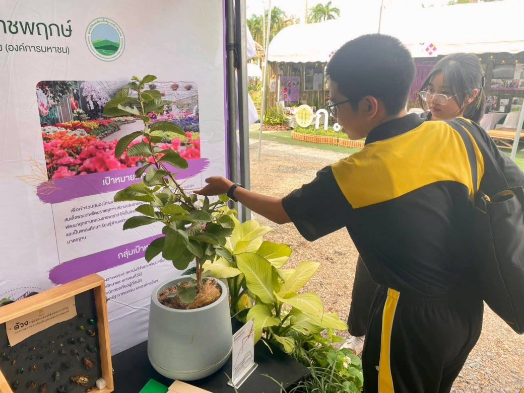 FILE-20251108-1410ZSFF74PW8NCE