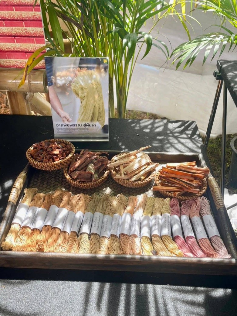 FILE-20251108-1413C2Z3RF7UUGGZ