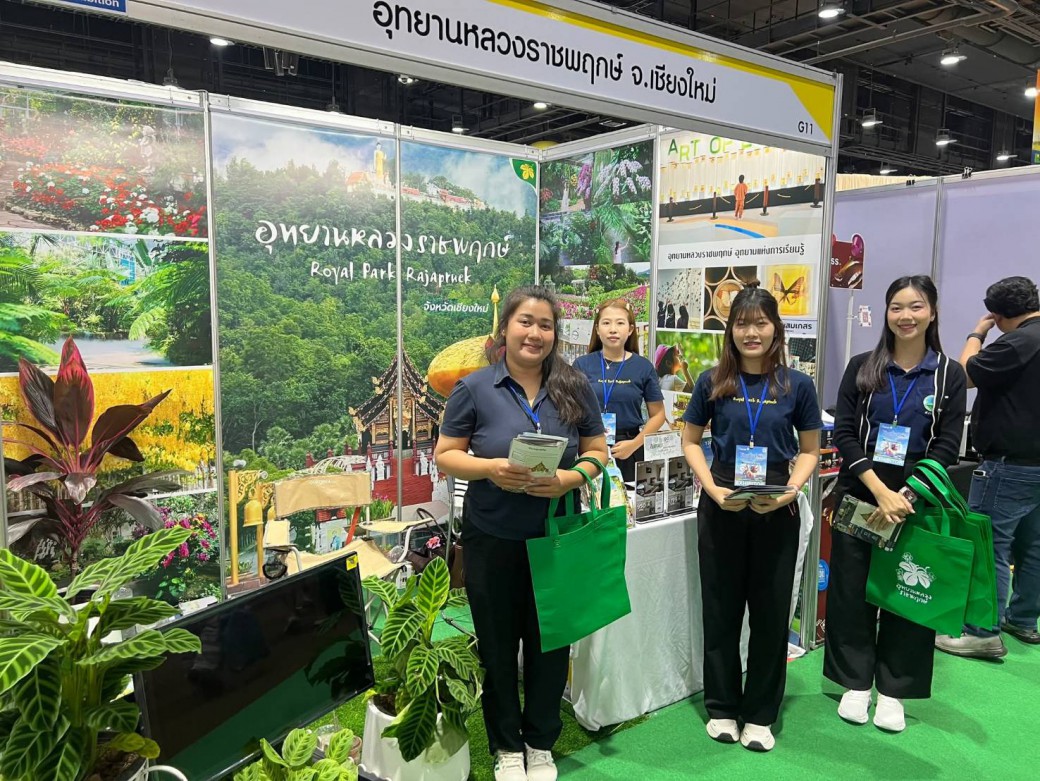 FILE-20251108-1441GVTJ8JB6M595