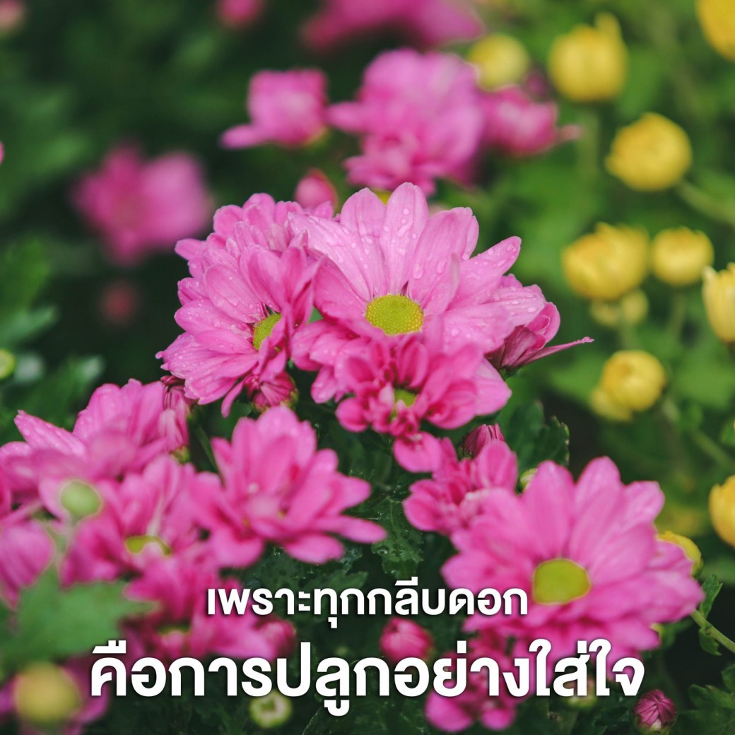 FILE-20251113-1404DMSZK3UGSTT8