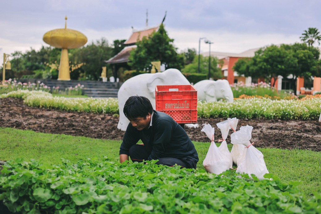 FILE-20251113-1454F13XZGNACWHJ