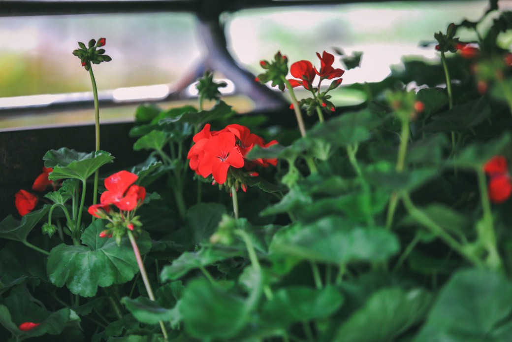 FILE-20251113-150434XJEQK726GX