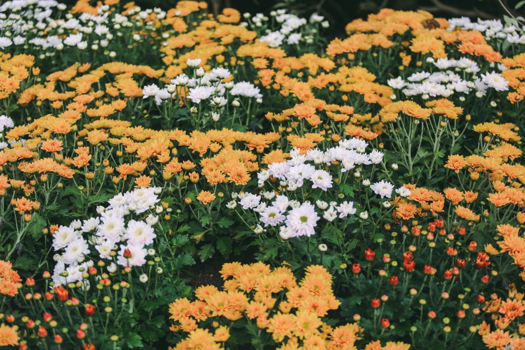 FILE-20251113-1522ZMV45BN4L6U5