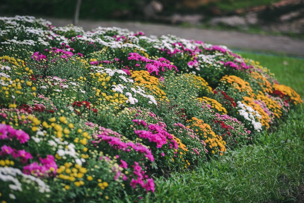 FILE-20251113-1535HY4CPHRJQXMG