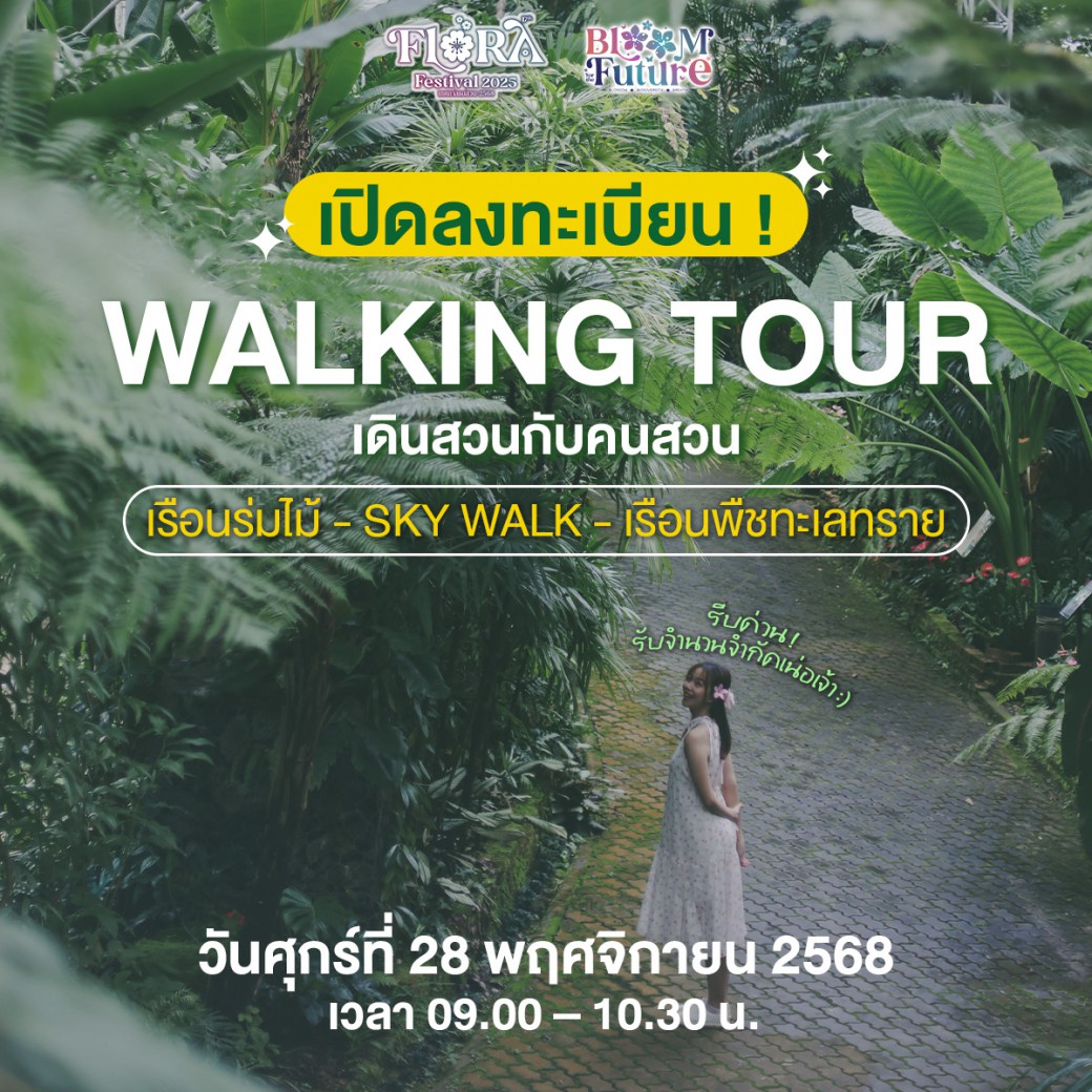 FILE-20251117-1228LSDBBEGCQKNZ