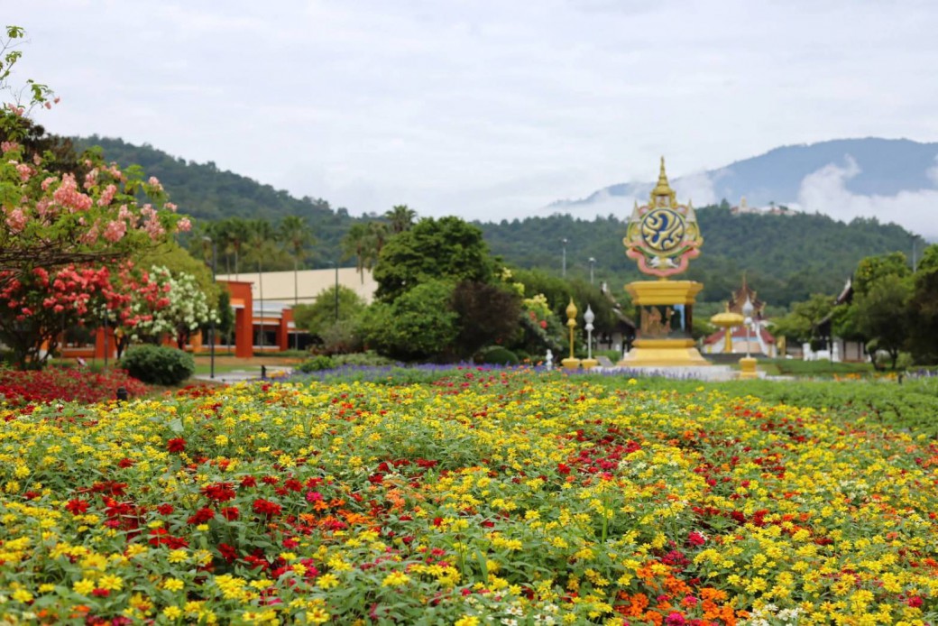 FILE-20251117-1229RVJNP8BHW3FG