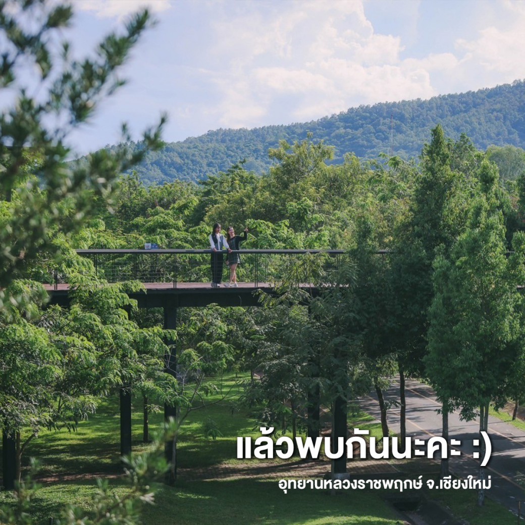 FILE-20251117-1238FU18X9NYARQZ