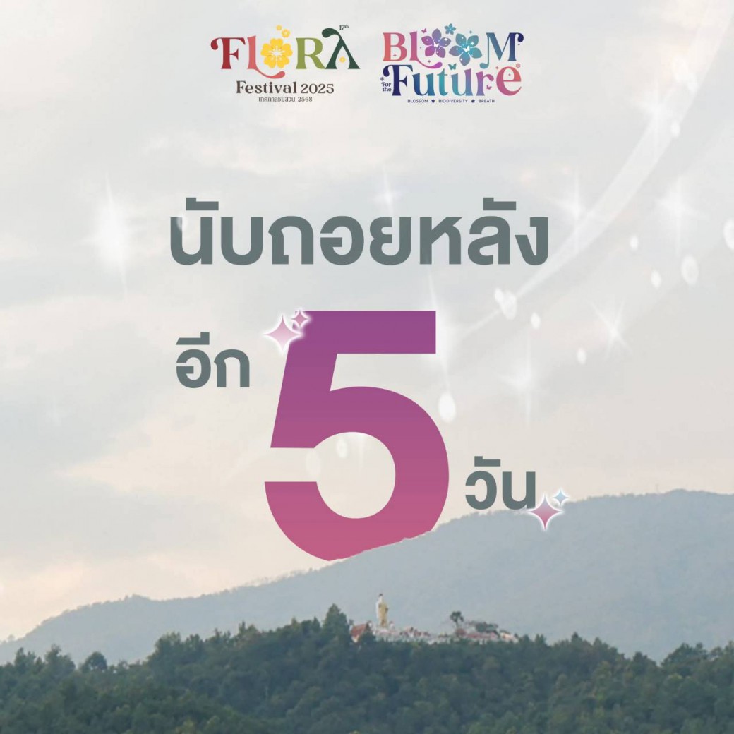 FILE-20251117-1244SLAZFMM1X8SF