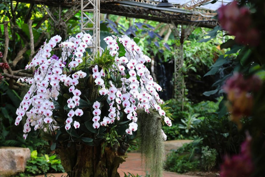 FILE-20251117-12483ATGRQMWU4V2