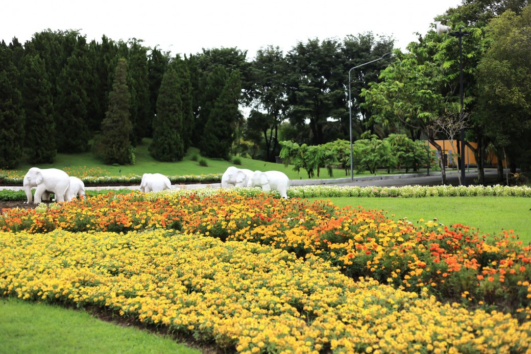 FILE-20251117-13048AZV2Y27BBFY