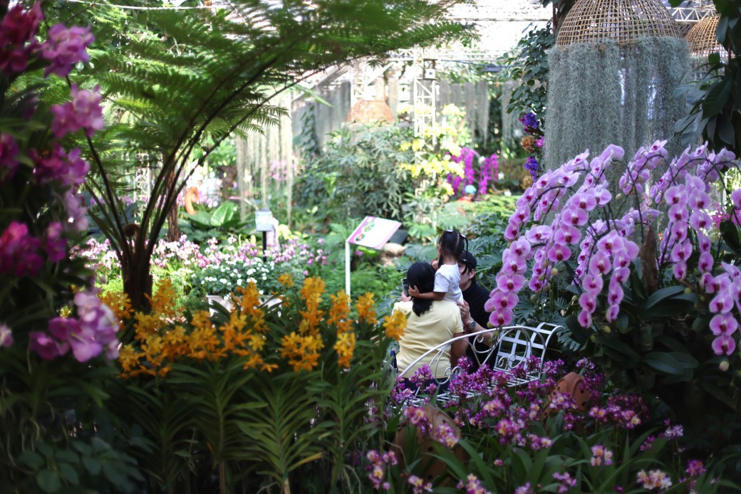 FILE-20251117-1306T2YPE29LTPE3