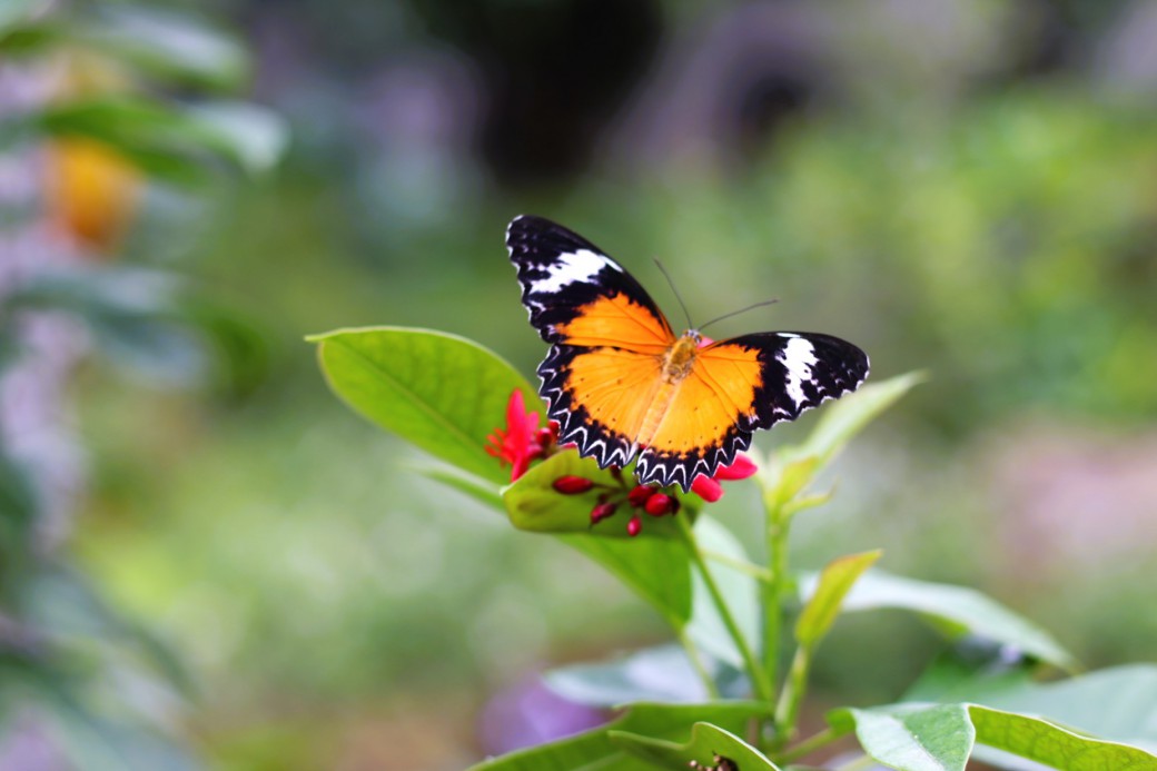 FILE-20251117-131529BL71LT8X6R