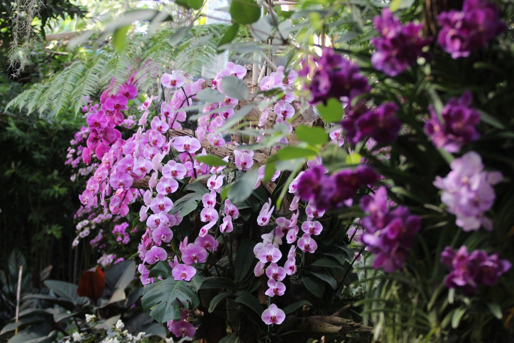 FILE-20251117-13178S7P9B86ZE6M