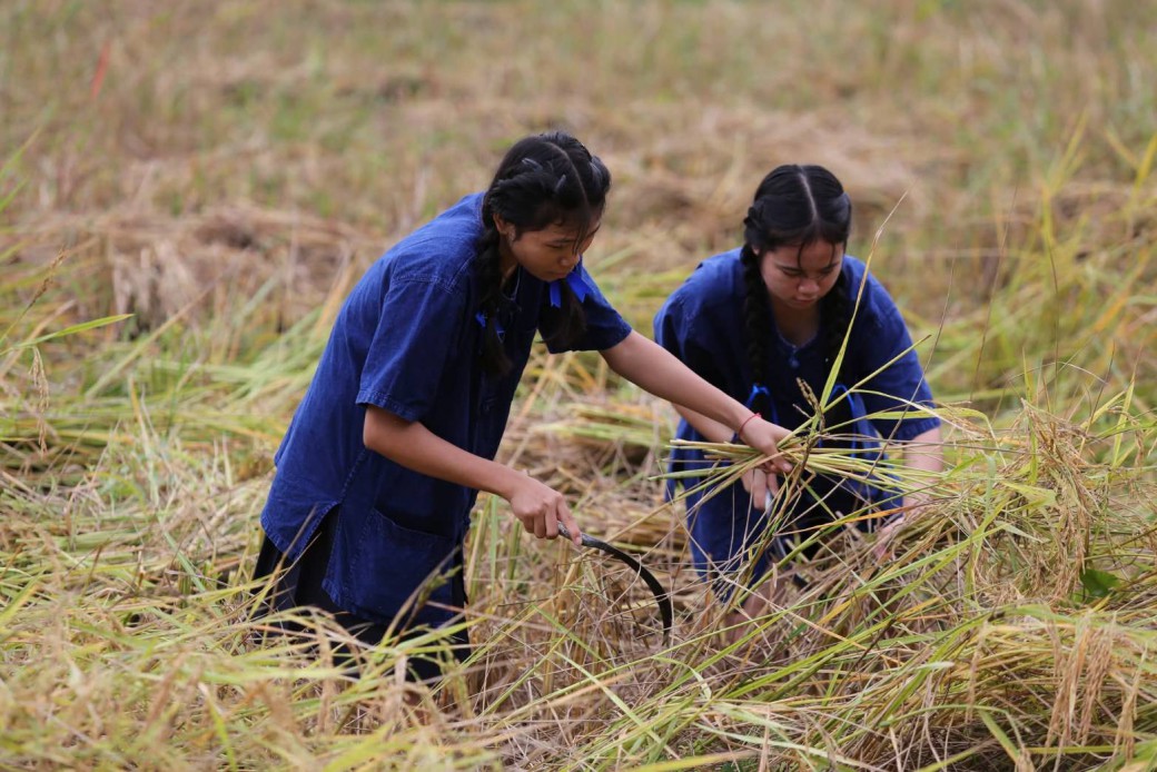 FILE-20251117-13179CJZAQZ2CJY3