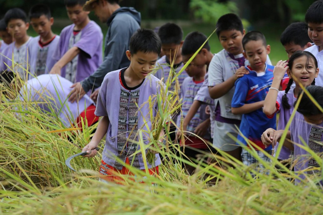 FILE-20251117-1317V4H9EKR68BZT