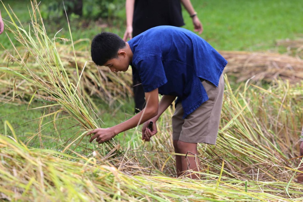 FILE-20251117-13279V6NAZ383NVJ