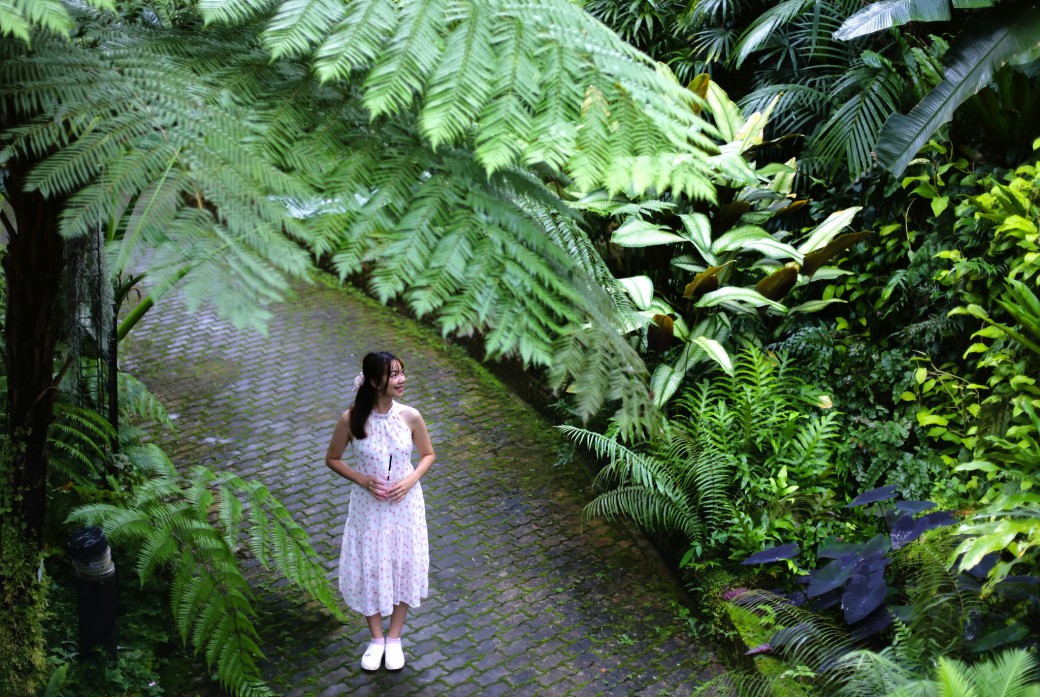 FILE-20251117-13331EG4LZ1R8SRN